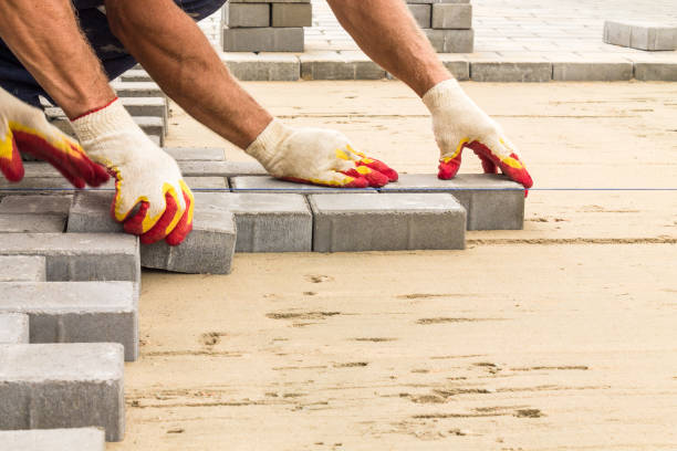 Best Affordable Driveway Paving  in Cole Camp, MO
