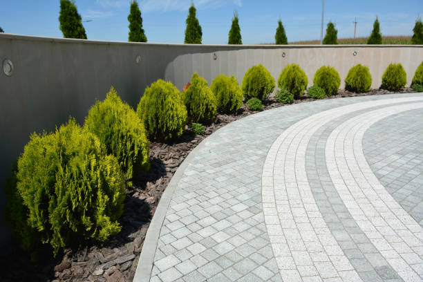 Best Driveway Paver Repair  in Cole Camp, MO
