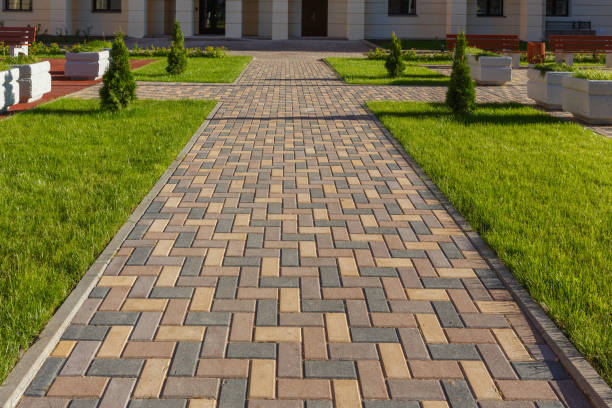 Best Driveway Repair Near Me  in Cole Camp, MO